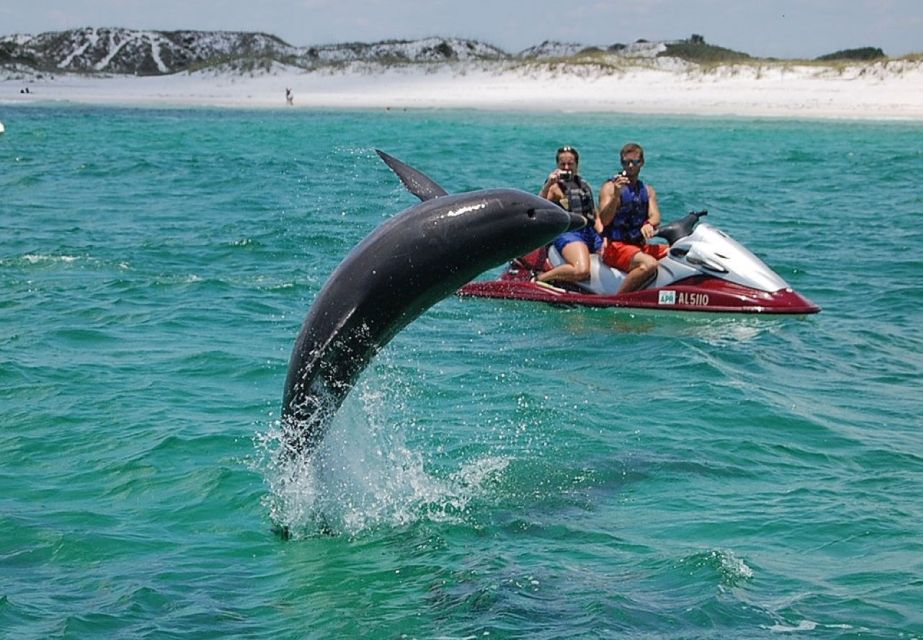 Destin: Crab Island Dolphin Watching Jet Ski Tour - Description