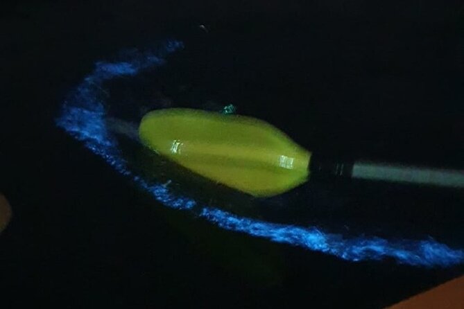 Discover Bioluminescent Plankton Using Kayak in Lan Ha Bay - Itinerary Highlights