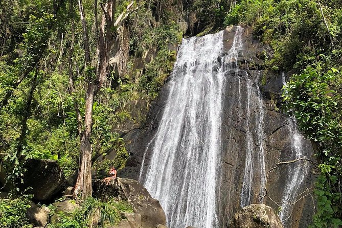 Discover El Yunque: Half-Day Rainforest Tour - Tour Highlights and Inclusions