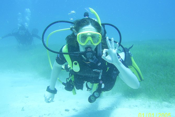 Discover Fajardo: 2-Tank Scuba Diving - Included Services and Logistics