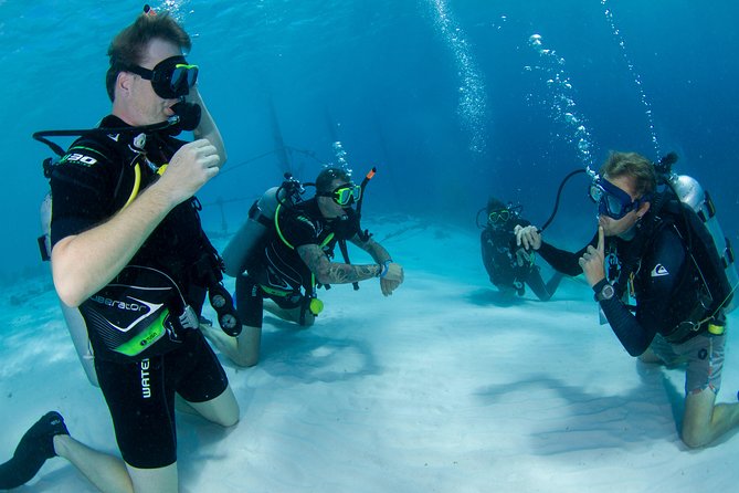 Discover Scuba Dive - Meeting and Pickup Details