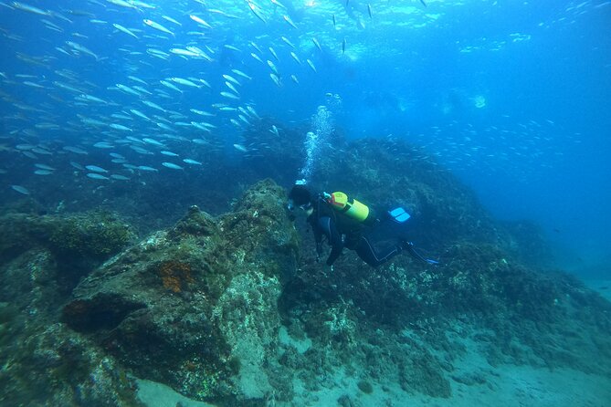 Discover Scuba Diving - Explore Lanzarotes Marine Life