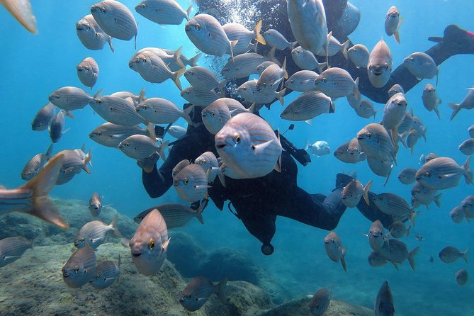 Discover Scuba Diving in Puerto De Mogan - Learning to Dive on Vacation