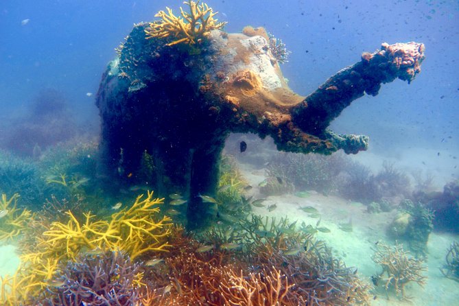 Discover Scuba Diving, Try Dive for Beginners ( Start at Ko Kut) - Inclusions and Amenities