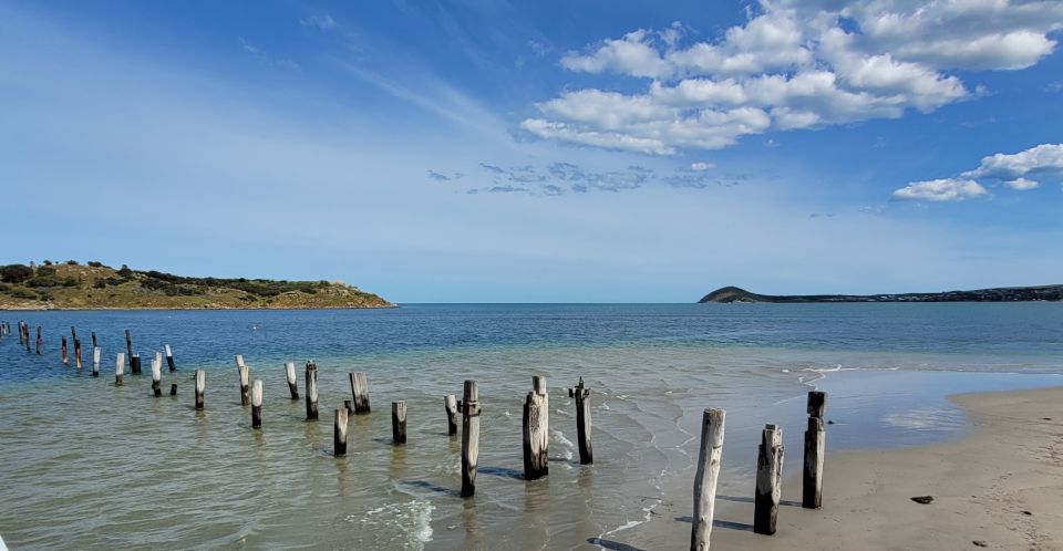 Discover Victor Harbor Guided Walking Tour - Price and Duration