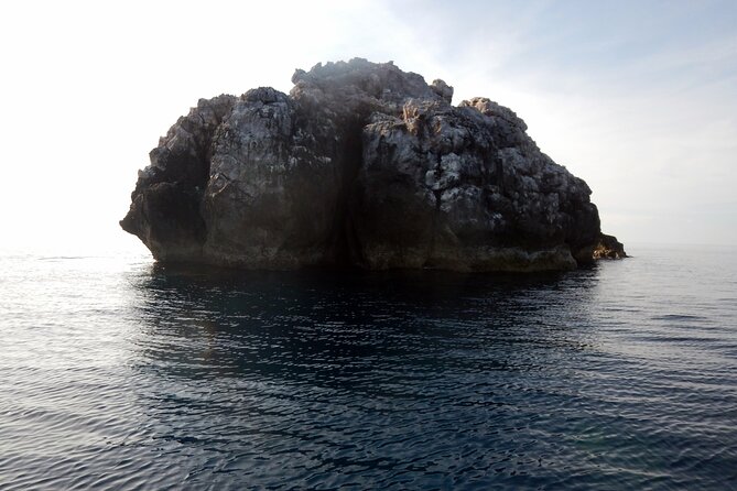 Diving Tour for Certified Divers From Koh Samui - Choice of Dive Sites