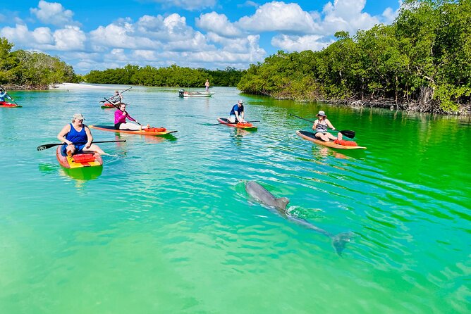 Dolphin and Manatee Adventure Tour of Fort Myers - Meeting Point Details