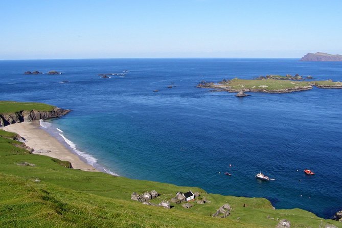 Dolphin and Whale Watching Tour From Dingle - Highlights of the Cruise