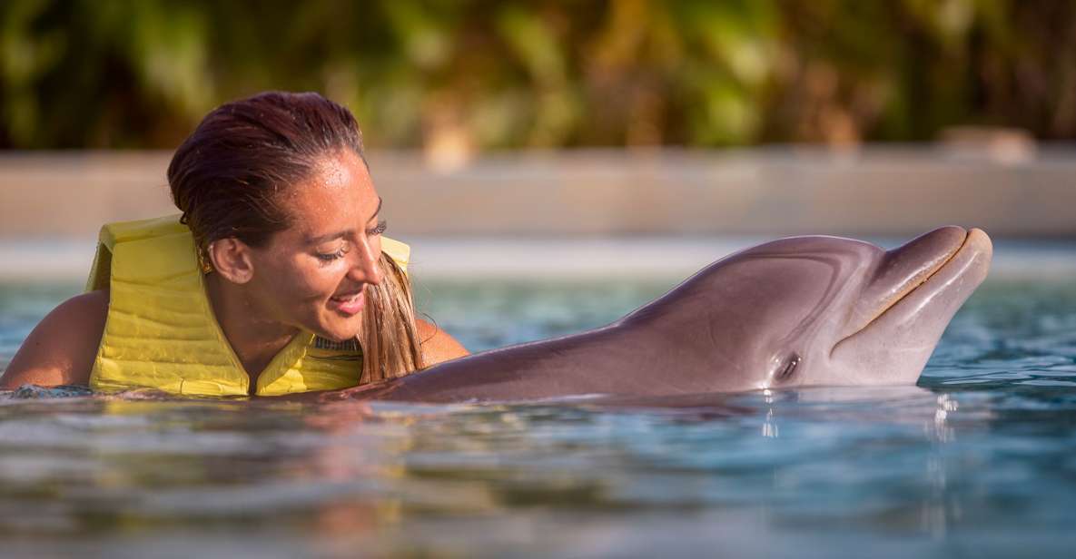 Dolphin Connection Riviera Maya: Dolphin Connection - Unforgettable Visitor Experience