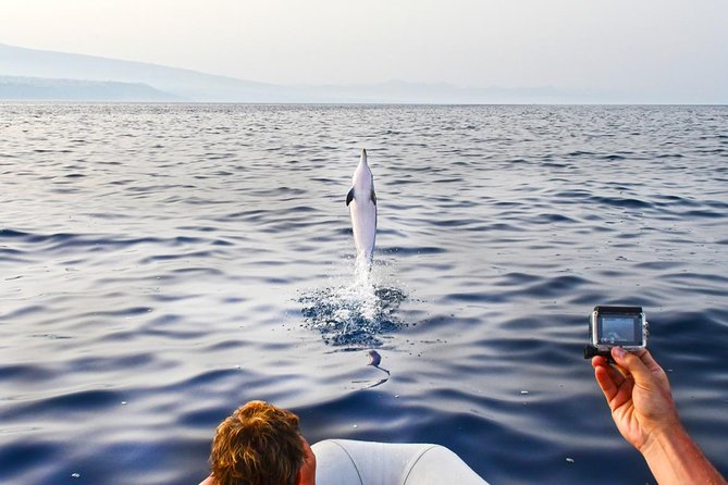 Dolphin Watching & Conservation - Dolphins in the Gulf of Catania - Meeting Location Options