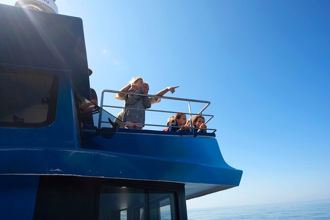 Dolphin Watching Half-Day Cruise From Lagos - Key Details