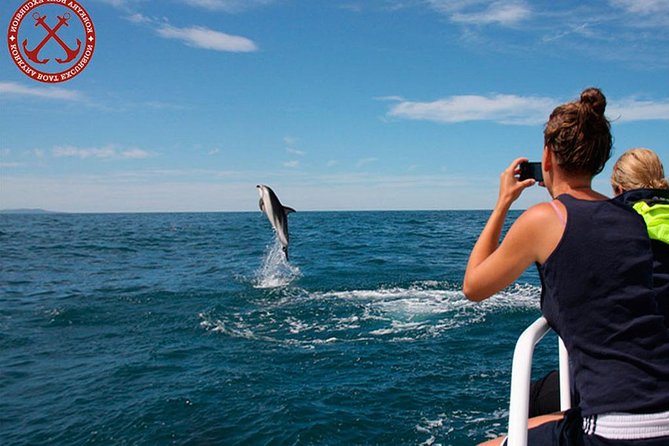 Dolphins Watching in the National Park Brijuni From Pula - Meeting Point and Pickup
