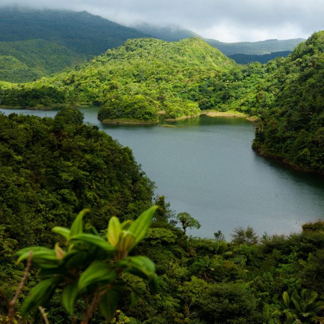 Dominica Hiking Adventures - Highlights of the Experience