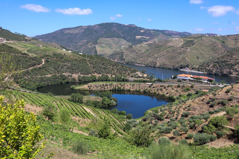 Douro Valley: Douro Valley Tour Including 3 Wineries - Languages and Pickup