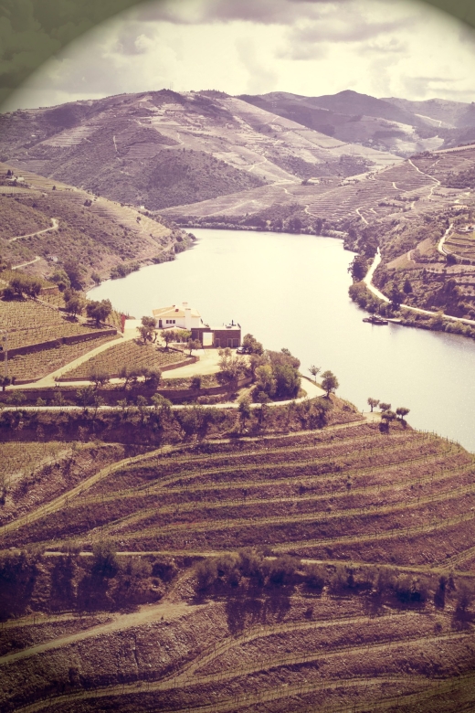 Douro Valley Vineyards Full-Day Tour From Porto - Highlights of the Tour