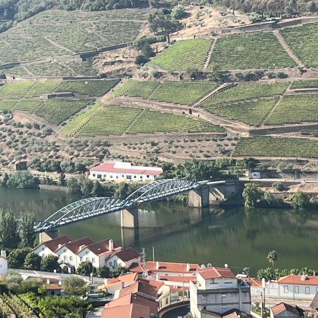 Douro Valley With a Local - Tasting Day, All Included - Itinerary Highlights