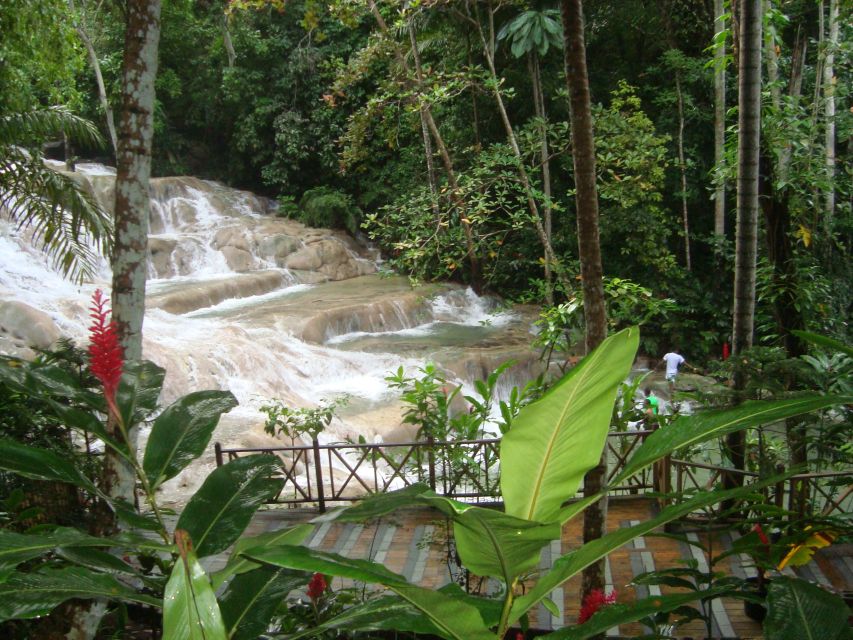 Dunns River Falls: Tour From Montego Bay, Rb, Ocho Rios - Swimming in Natural Pools