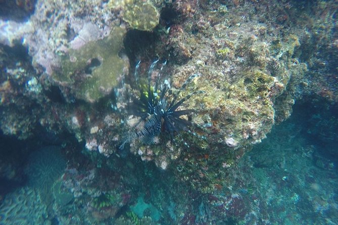 East Bali Spear Or Line Fishing Tour At Virgin Beach - Pickup and Confirmation Details