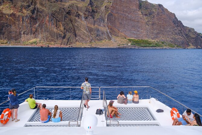 Eco-Friendly Catamaran Dolphin and Whale Watching - Sighting Dolphins, Whales, and Monk Seals