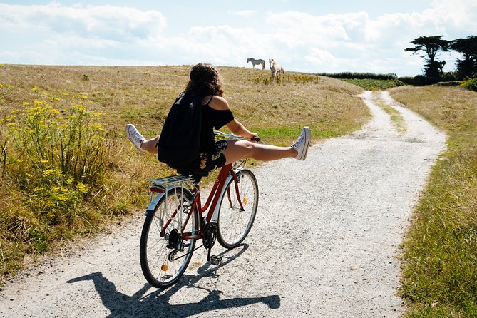 Electric Bike Excursion in Camargue - Meeting and Pickup