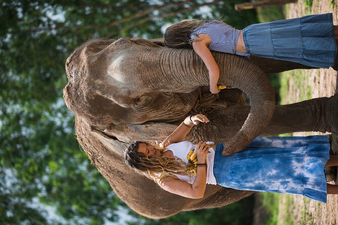 Elephant Jungle Sanctuary: Half Day Afternoon Program - Whats Included