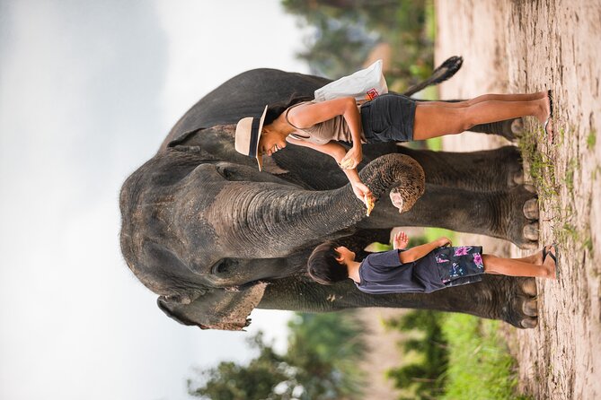 Elephant Jungle Sanctuary: Half Day Morning Program - Opportunity to Interact With Elephants