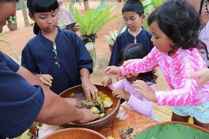 Elephant Nature Care, the Largest Elephant Sanctuary on Koh Samui - Inclusions in the Tour Package
