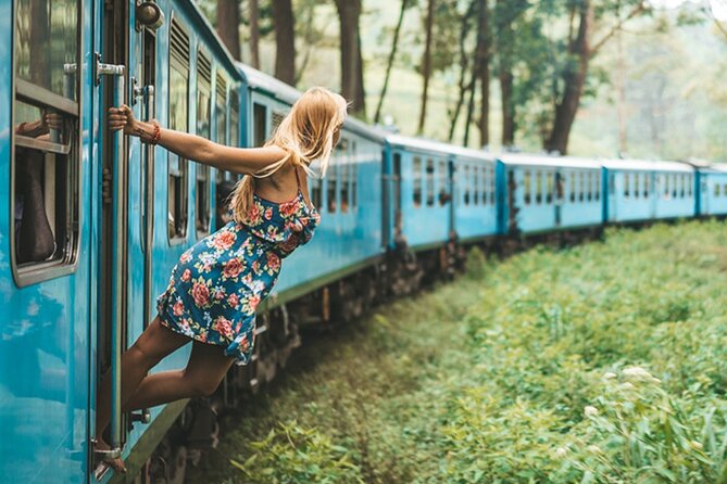 Ella Day Trip With Train Ride & Tea Factory - All Inclusive - Itinerary Highlights