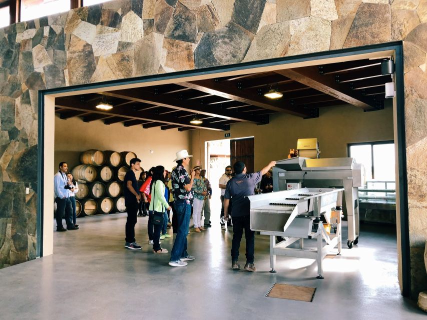 Ensenada: Rondo Del Valley Winery Tour With 5 Tastings - Red Wine Tasting