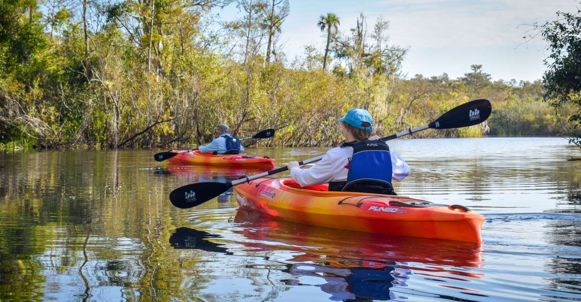 Everglades City: Guided Kayaking Tour of the Wetlands - Wildlife Sightings