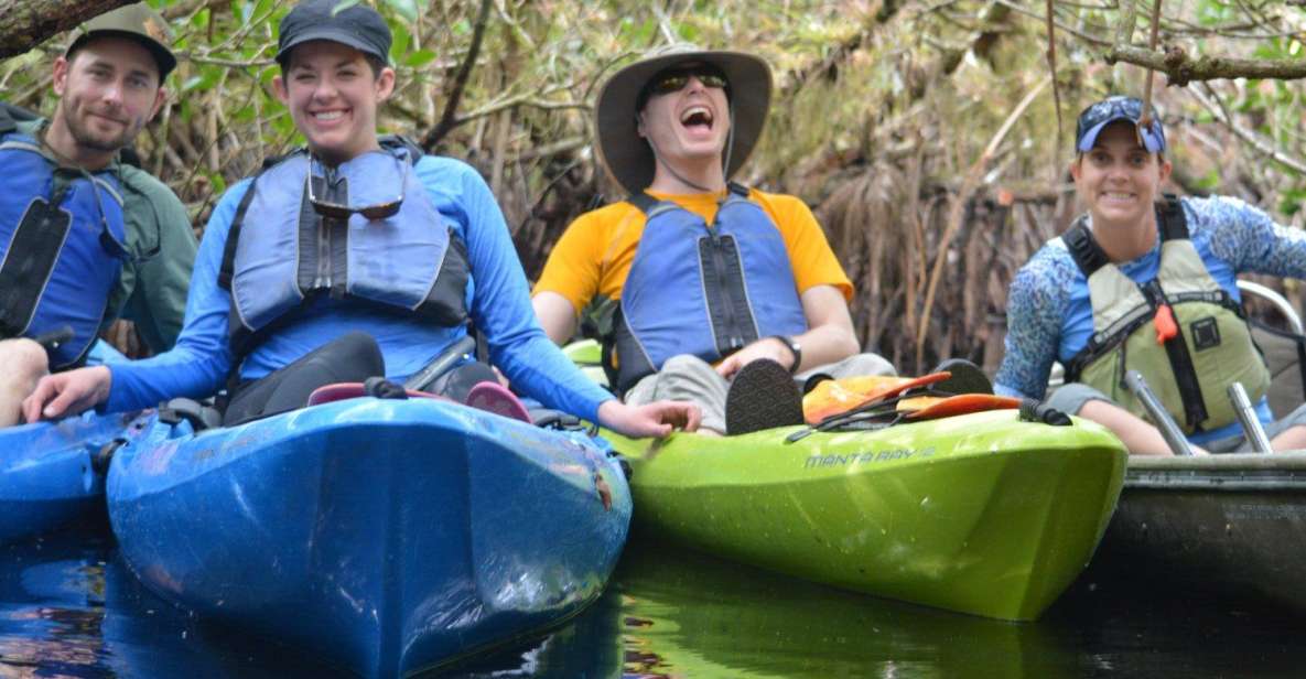 Everglades Kayak Safari Adventure Through Mangrove Tunnels - Diverse Mangrove Ecosystems