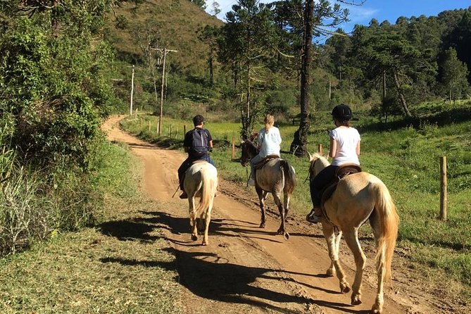 Exclusive Horse Experience With Pic-Nic at Belvedere - Itinerary Highlights