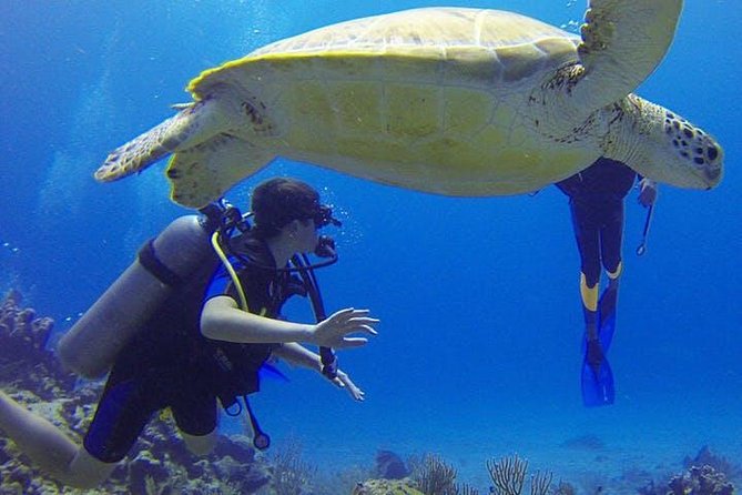 Experience Scuba Diving / NO Certification Needed - Safety and Meeting Arrangements