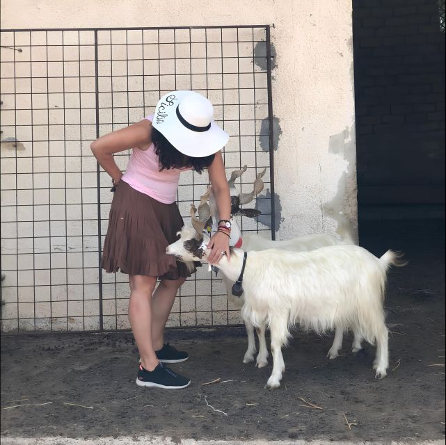 Experience With Girgentan Goats in Agrigento - Experience Highlights