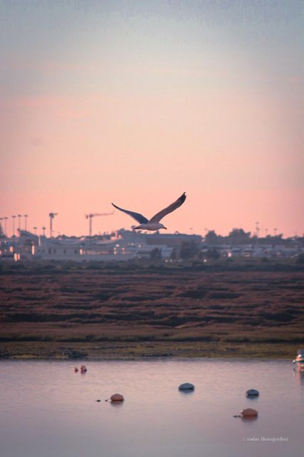 Explore Faro Through the Lens: Guided Photo Tour - Booking Information