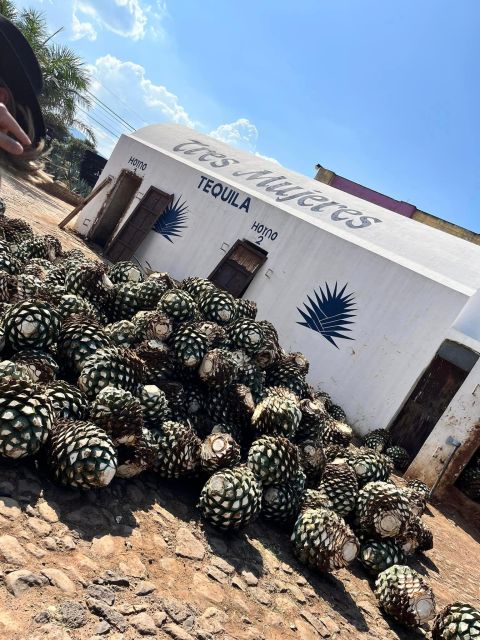 Explore Tequila: Private Trip From Guadalajara - Exclusive Tres Mujeres Distillery Experience