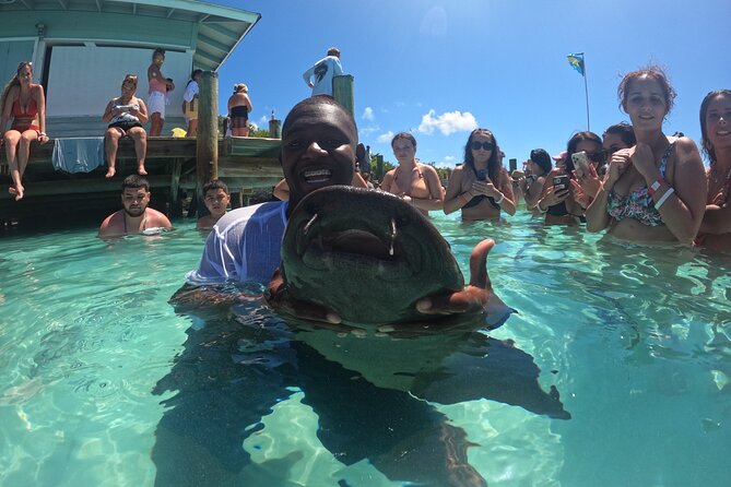 Exuma Island Hopping & Swimming Pigs Tour With Lunch From Nassau - Swimming With Nurse Sharks