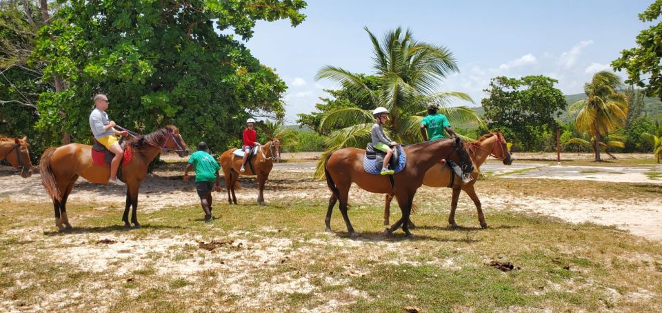 Falmouth/Montego Bay: River Tubing & Beach Ride on Horseback - River Tubing Experience