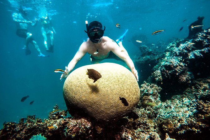Family Friendly Snorkel Cruise and Seafood Lunch in Punta Cana - Pickup and Timing