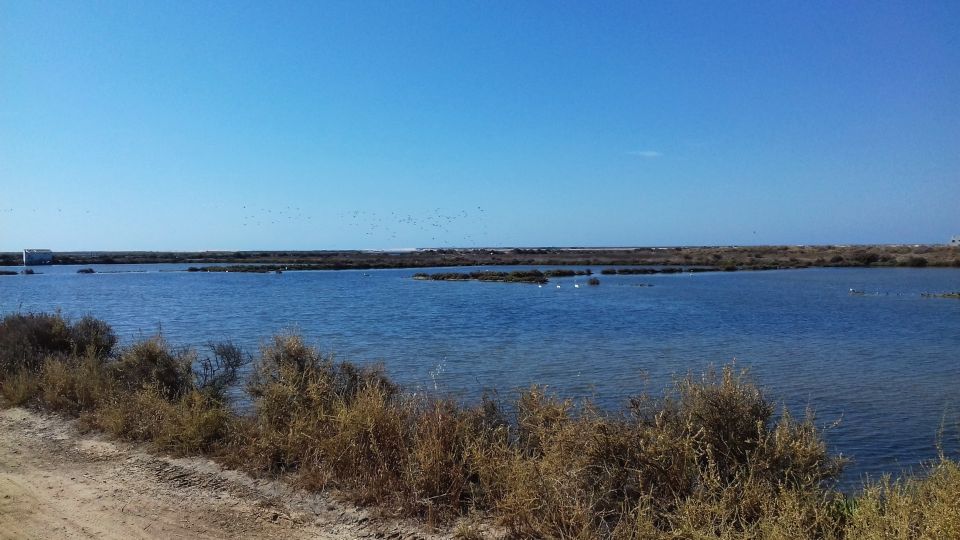 Faro Bike Tour Through the Beautiful Ria Formosa - Tour Highlights