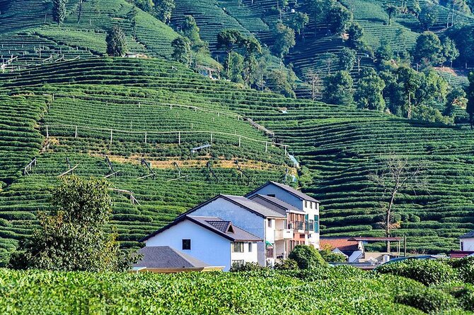 Flexible Hangzhou Private Tour From Shanghai by Bullet Train - Customizable Itinerary Options
