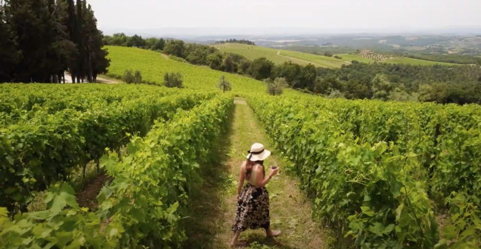 Florence: Chianti Vineyards Tour With Wine Tasting & Dinner - Tour Highlights