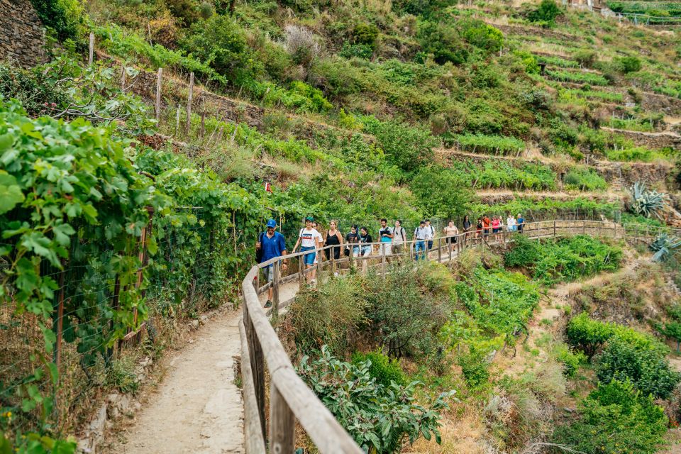 Florence: Cinque Terre Day Trip With Optional Hike - Inclusions and Exclusions