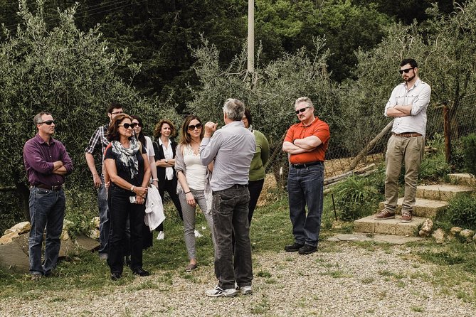 Florence to Tuscany: Chianti, Siena, San Gimignano & Wine +Lunch - Discovering Chianti Region