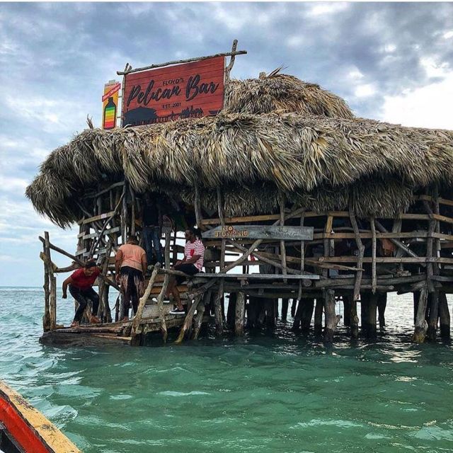 Floyds Pelican Bar and Appleton Estate Rum Experience - Appleton Estate Rum Distillery Tour