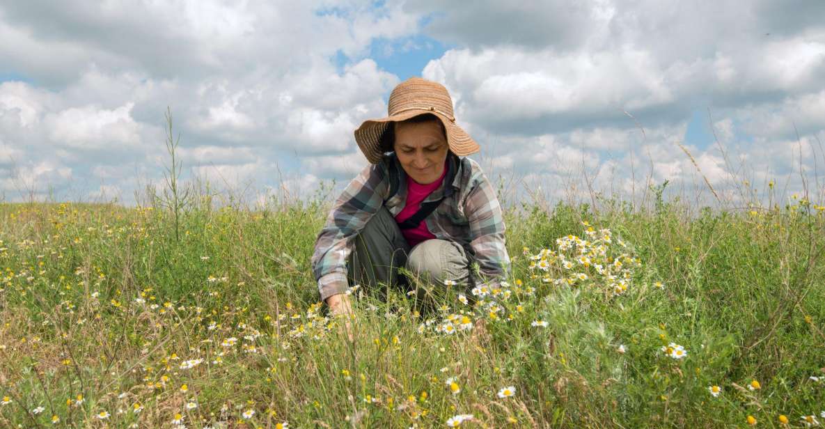 Foraging Tour in the Tuscan Countryside - Price and Booking