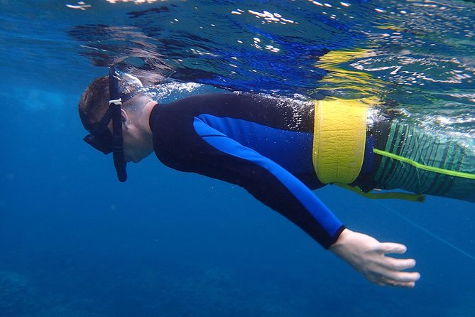 Four Winds II Molokini Snorkeling Tour From Maalaea Harbor - Logistics and Meeting Point