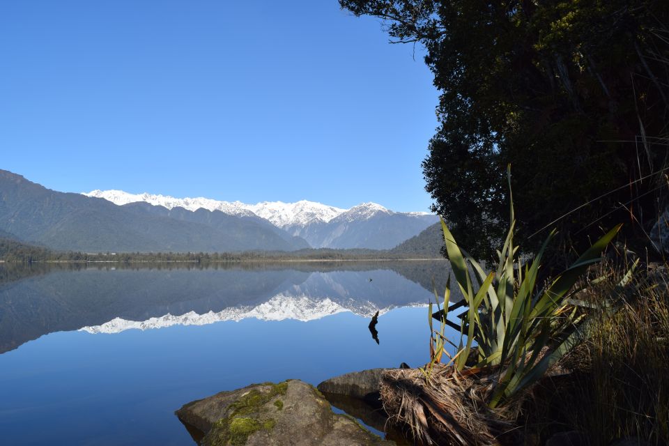 Franz Josef Glacier: 2.5-Hour Lake Mapourika Cruise and Walk - Experience Description