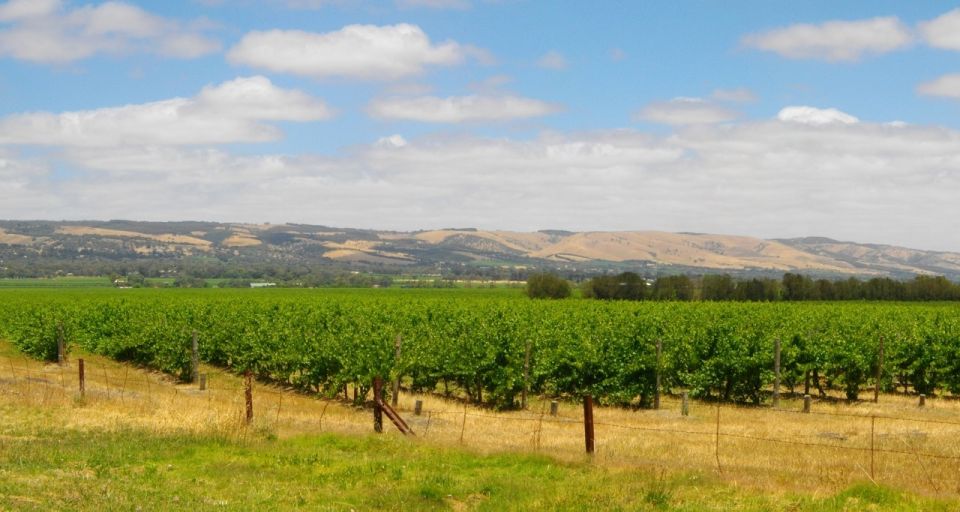 From Adelaide: McLaren Vale Winery Tour via Hahndorf - Duration and Language Details