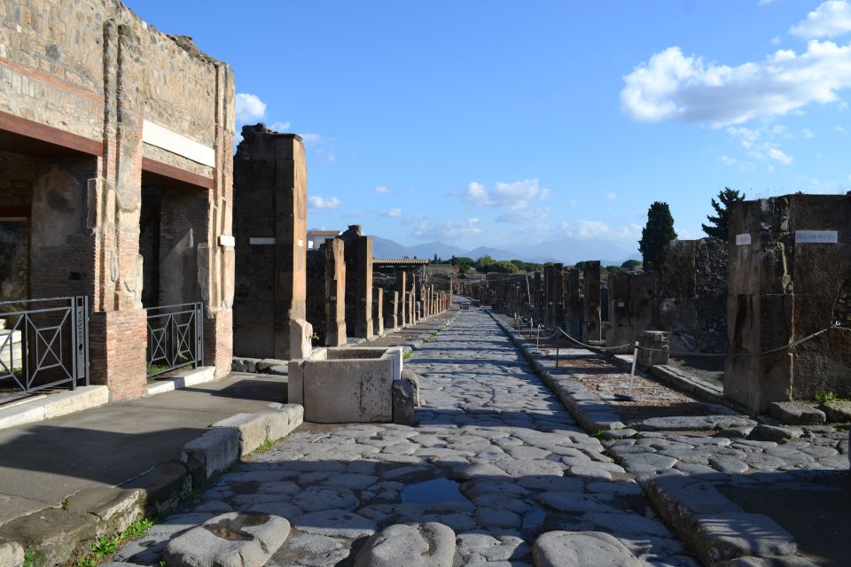 From Amalfi Coast: Transfer to Naples With Pompeii Tour - Pompeii Walking Tour Experience